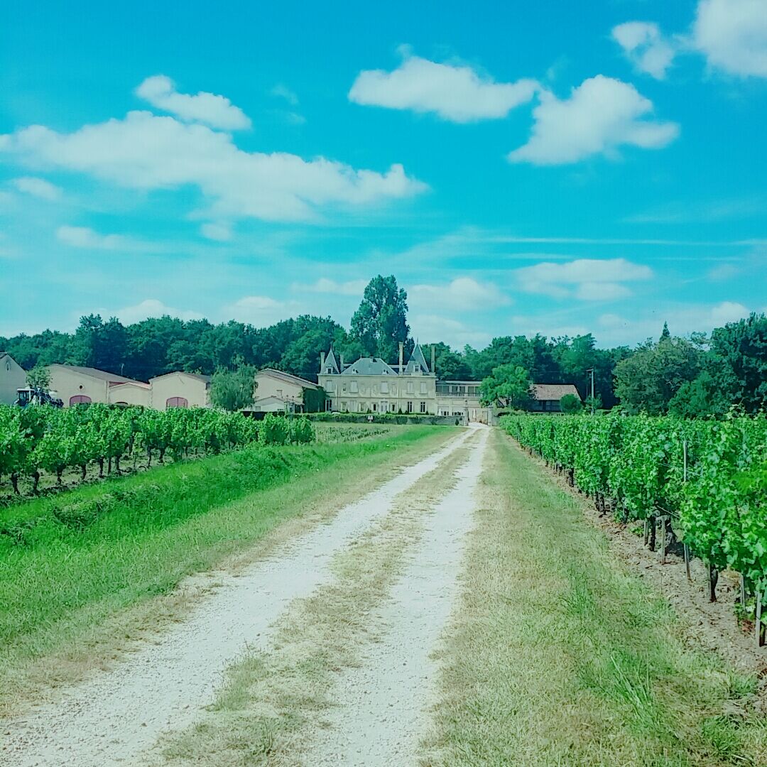 Chateau Meyre Avensan Kültér fotó